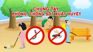 Cách phòng tránh bệnh sốt xuất huyết