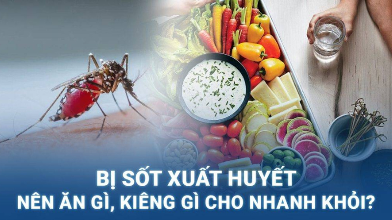 sốt xuất huyết